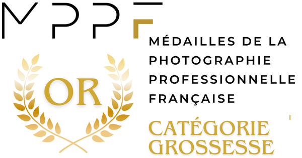 Médaille d’or, Médailles de la Photographie Professionnelle Française