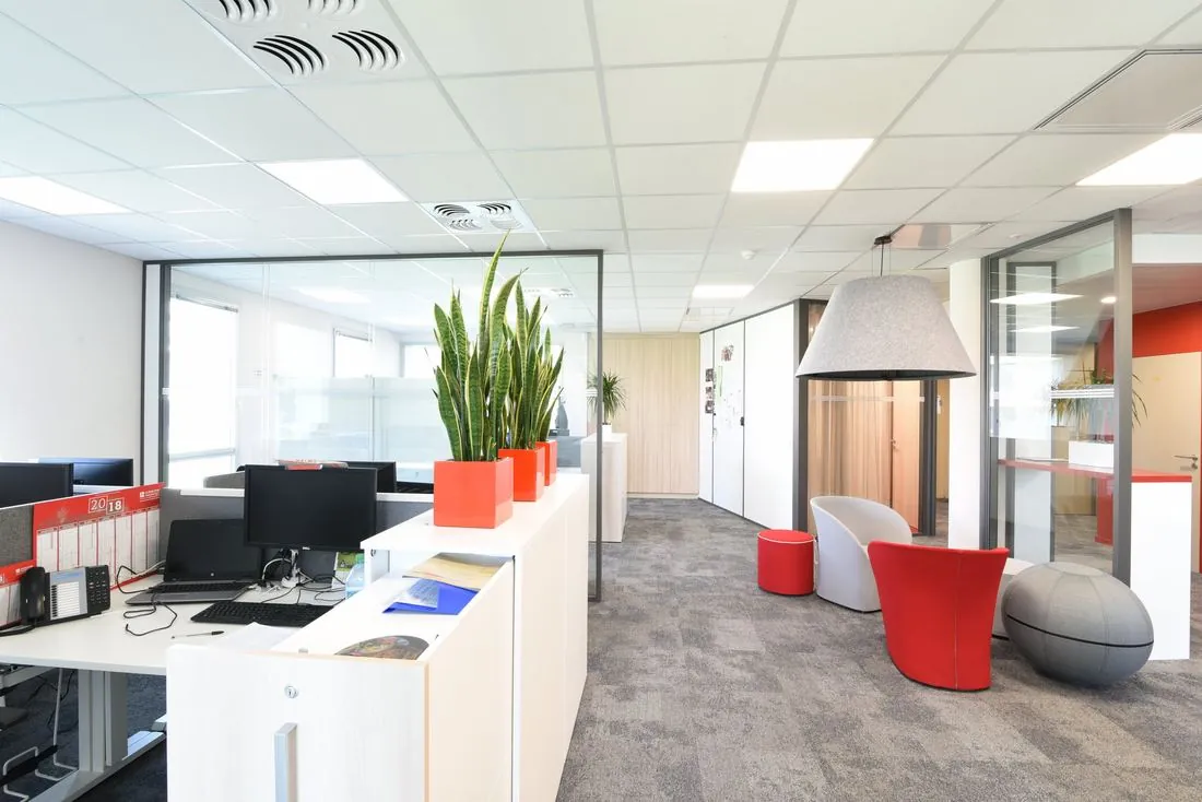 Bureaux lumineux avec plantes et fauteuils rouges